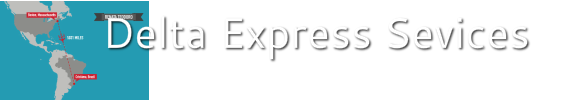 Delta Express Services